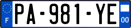 PA-981-YE