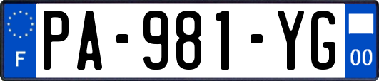 PA-981-YG