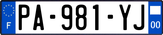 PA-981-YJ