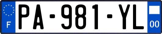 PA-981-YL