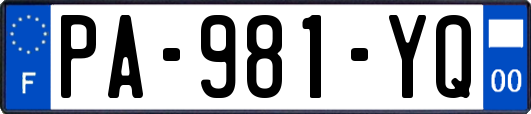 PA-981-YQ