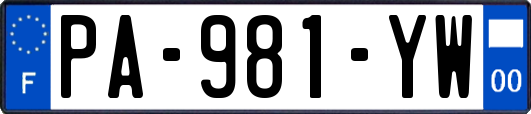 PA-981-YW