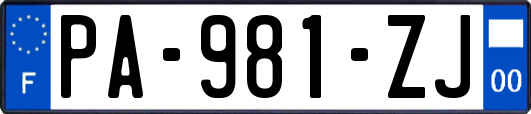 PA-981-ZJ