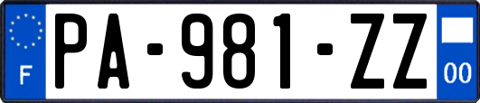 PA-981-ZZ