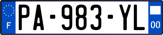 PA-983-YL