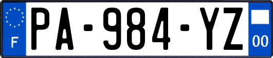 PA-984-YZ