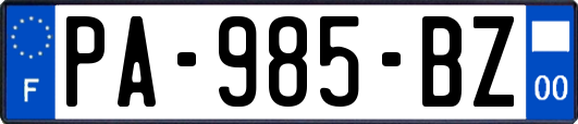 PA-985-BZ