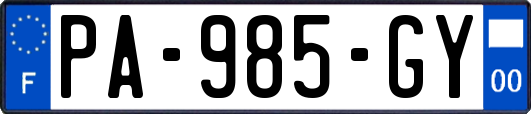 PA-985-GY
