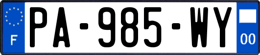 PA-985-WY