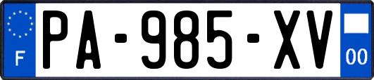 PA-985-XV