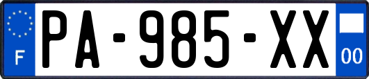 PA-985-XX