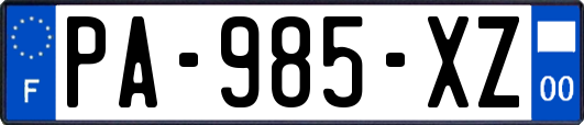 PA-985-XZ