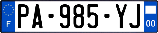 PA-985-YJ
