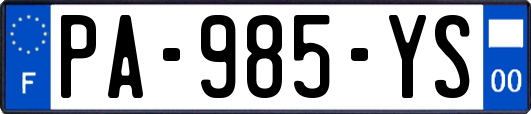 PA-985-YS