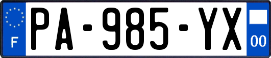 PA-985-YX