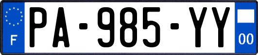 PA-985-YY