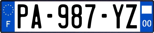 PA-987-YZ