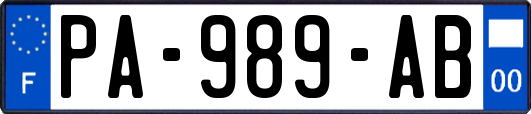 PA-989-AB