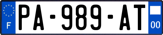 PA-989-AT