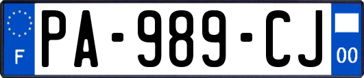 PA-989-CJ