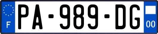 PA-989-DG