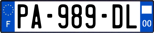 PA-989-DL