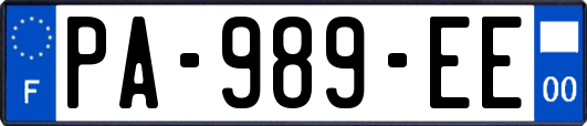 PA-989-EE