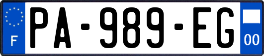 PA-989-EG