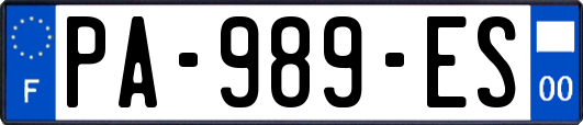 PA-989-ES