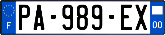 PA-989-EX