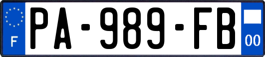 PA-989-FB