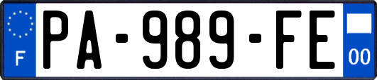 PA-989-FE