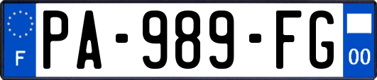 PA-989-FG