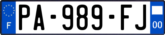 PA-989-FJ