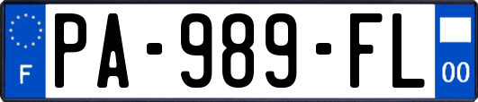 PA-989-FL
