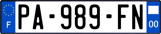 PA-989-FN