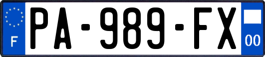 PA-989-FX