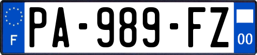 PA-989-FZ