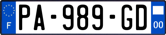 PA-989-GD
