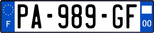 PA-989-GF