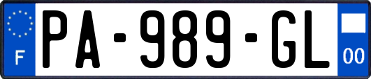 PA-989-GL