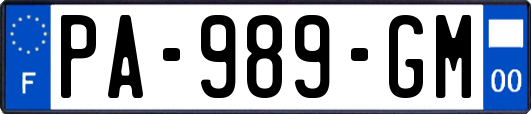 PA-989-GM