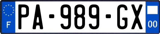 PA-989-GX