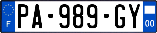 PA-989-GY
