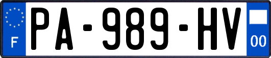 PA-989-HV