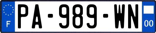 PA-989-WN