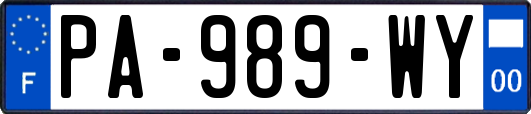PA-989-WY