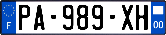 PA-989-XH
