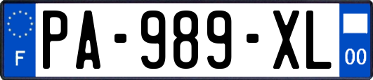PA-989-XL