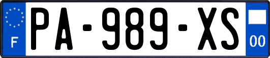 PA-989-XS